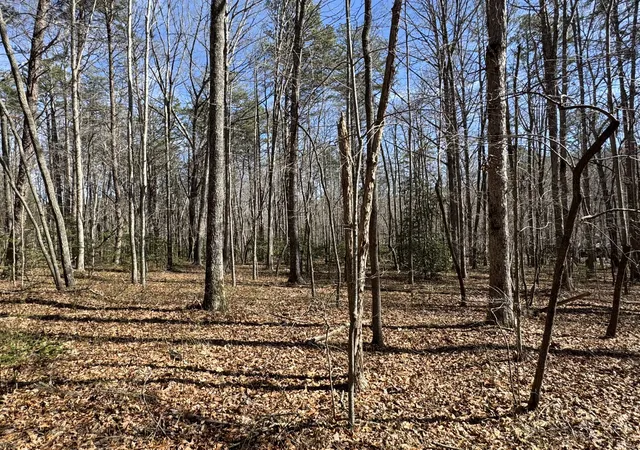 Photo 3 of Sale Pending at 00 Cane Crk Rd #44, Dunlap, TN 37327 | MLS# 1529455 | Listing updated on 2026-09-04