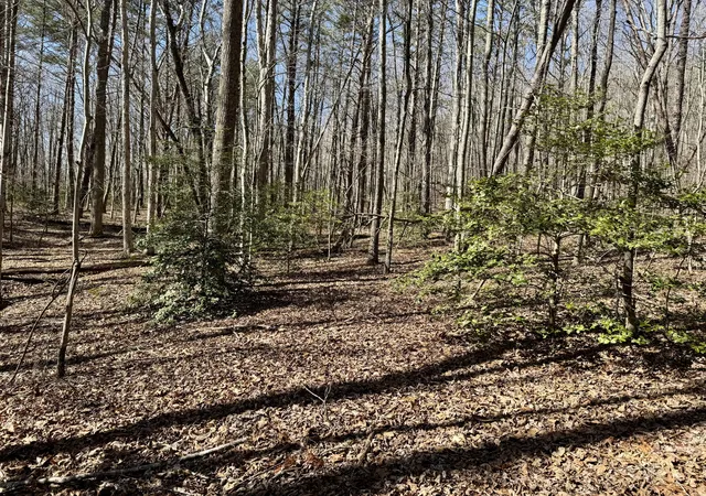 Photo 3 of Sale Pending at 00 Cane Crk Rd #44, Dunlap, TN 37327 | MLS# 1529455 | Listing updated on 2026-09-04