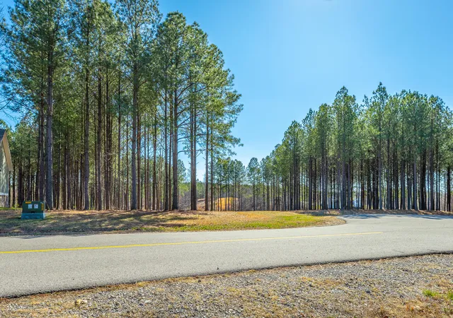 Photo 3 of Land for sale at 265 Sevier St #JF301, Jasper, TN 37347 | MLS# 1529647 | Listing updated on 2026-03-25