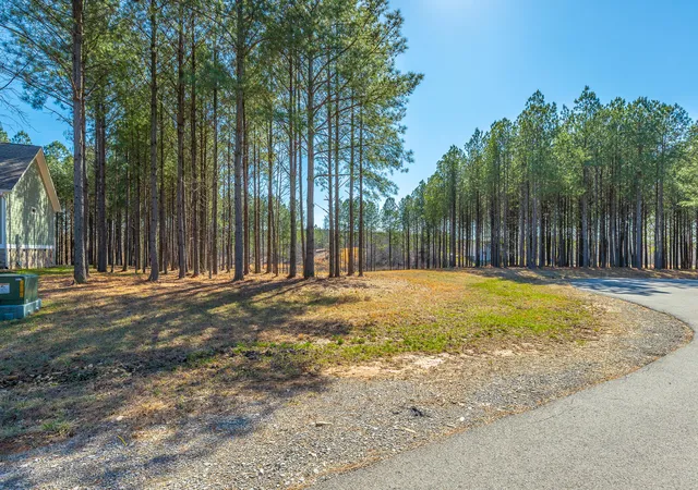 Photo 3 of Land for sale at 265 Sevier St #JF301, Jasper, TN 37347 | MLS# 1529647 | Listing updated on 2026-03-25
