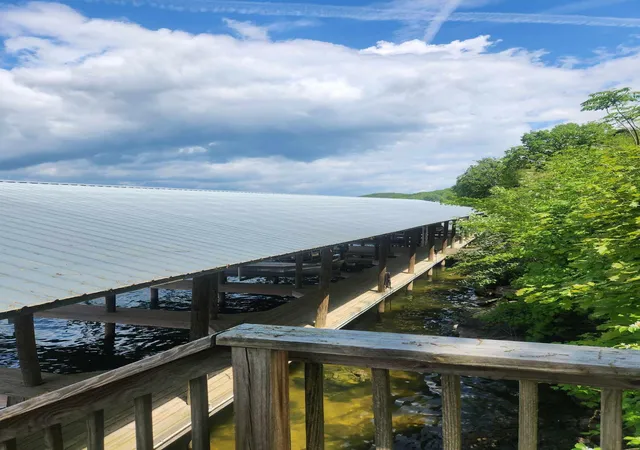 Photo 3 of Land for sale at 0 Johnson Ln #6, Ten Mile, TN 37880 | MLS# 1529645 | Listing updated on 2026-03-04