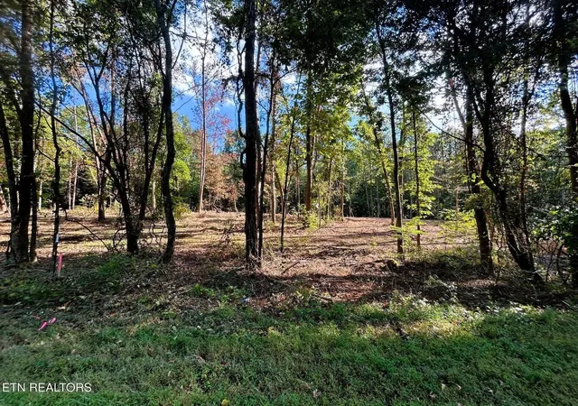 2nd image of 55 Acres Pleasant Hill Rd #1, Ten Mile, TN 37880 | MLS# 1529995