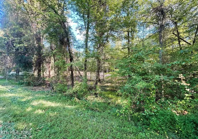 5th image of 55 Acres Pleasant Hill Rd #1, Ten Mile, TN 37880 | MLS# 1529995