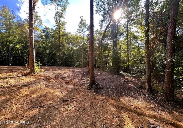 9th image of 55 Acres Pleasant Hill Rd #1, Ten Mile, TN 37880 | MLS# 1529995