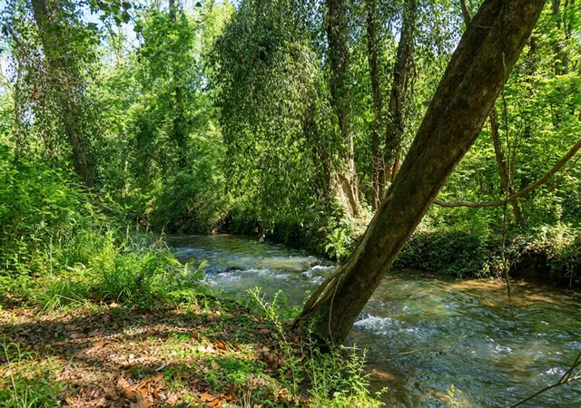 Photo 1 of Land for sale at 1282 Riverbank Ridge, Chattanooga, TN 37415 | MLS# 1530028 | Listing updated on 2026-03-09