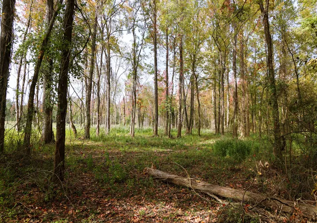 Photo 2 of Land for sale at 1282 Riverbank Ridge, Chattanooga, TN 37415 | MLS# 1530028 | Listing updated on 2026-03-09