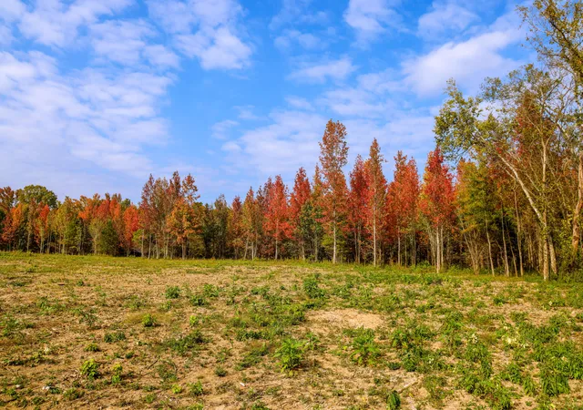 Photo 2 of Land for sale at 1282 Riverbank Ridge, Chattanooga, TN 37415 | MLS# 1530028 | Listing updated on 2026-03-09