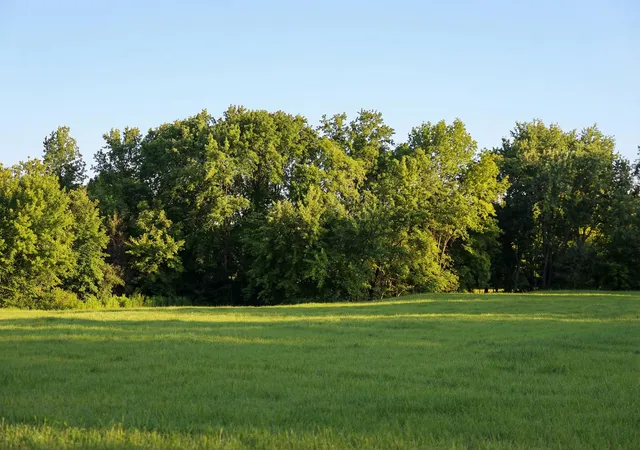 2nd image of 1154 Luptonville Xing, Chattanooga, TN 37415 | MLS# 1530032