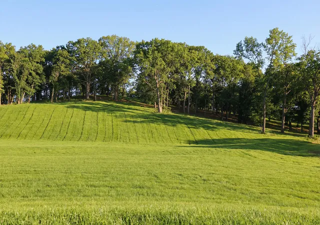 1st image of 1138 Luptonville Xing, Chattanooga, TN 37415 | MLS# 1530033