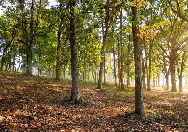 Photo 1 of Land for sale at 1054 Riverbank Ridge, Chattanooga, TN 37415 | MLS# 1530114 | Listing updated on 2026-03-10
