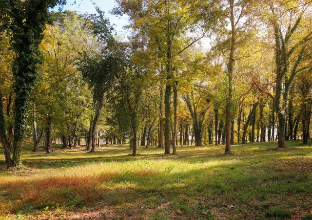 Photo 2 of Land for sale at 1102 Riverbank Ridge, Chattanooga, TN 37415 | MLS# 1530119 | Listing updated on 2026-03-10