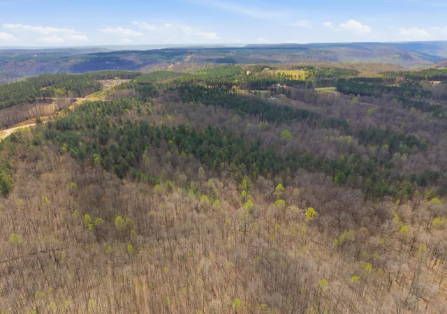 Homes for sale in South Pittsburg, TN | 000 Thunder Ridge Dr, South Pittsburg, TN 37380 | MLS# 1530236