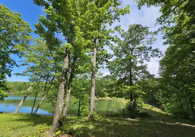 Homes for sale in Altamont, TN | 24 Blumont Dr #24, Altamont, TN 37301 | MLS# 1530412