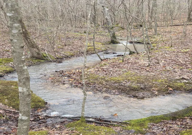 25th image of 375 County Road 184, Athens, TN 37303 | MLS# 1532388