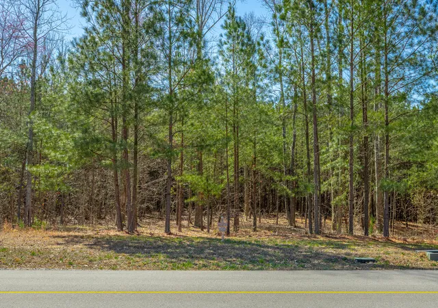 4th image of 0 Volunteer St #Jf356, Jasper, TN 37347 | MLS# 1530538