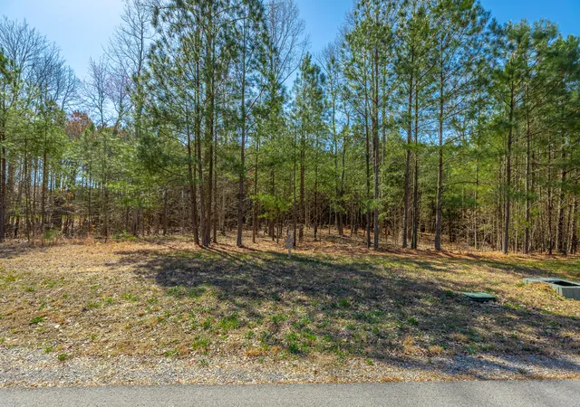 5th image of 0 Volunteer St #Jf356, Jasper, TN 37347 | MLS# 1530538