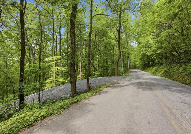 Photo 2 of Land for sale at 168 County Rd, Athens, TN 37303 | MLS# 1530639 | Listing updated on 2026-08-25