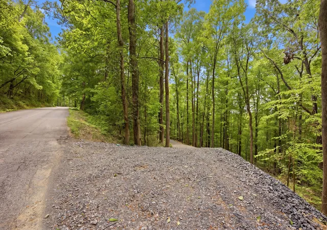 Photo 3 of Land for sale at 168 County Rd, Athens, TN 37303 | MLS# 1530639 | Listing updated on 2026-08-25