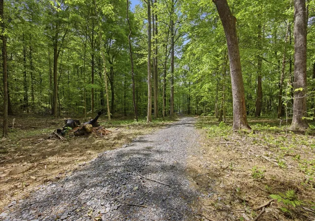 Photo 3 of Land for sale at 168 County Rd, Athens, TN 37303 | MLS# 1530639 | Listing updated on 2026-08-25