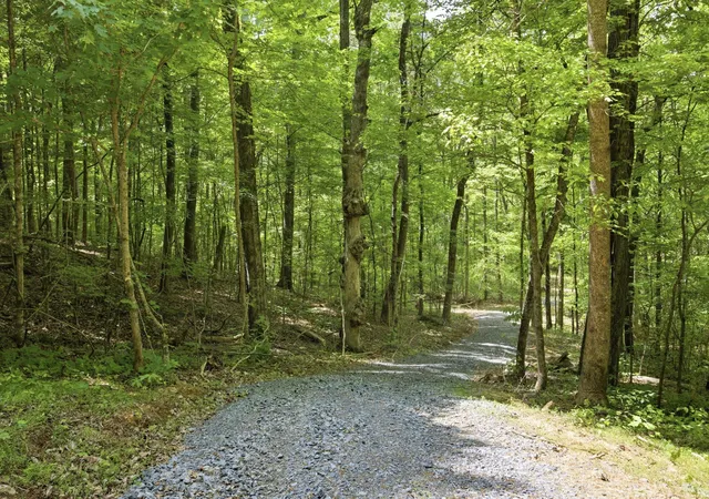 Photo 4 of Land for sale at 168 County Rd, Athens, TN 37303 | MLS# 1530639 | Listing updated on 2026-08-25