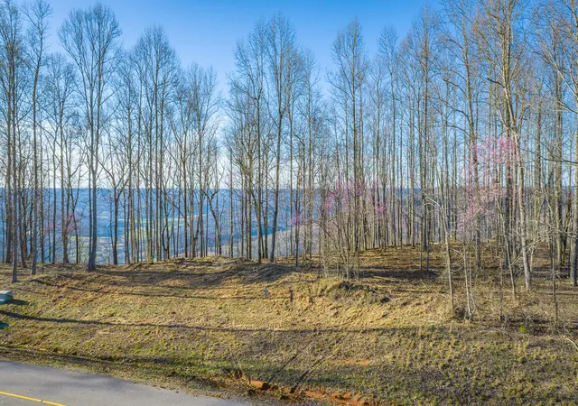 4th image of 0 Cherokee Path #Jf269, Jasper, TN 37347 | MLS# 1530700