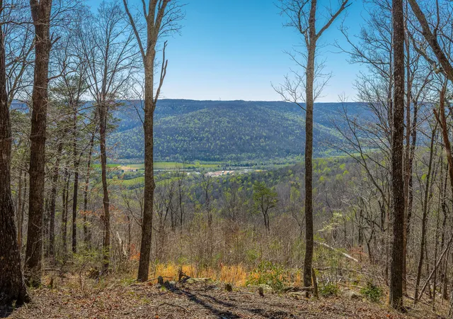 Photo 3 of Land for sale at 0 Moonlight Ln #JF439, Jasper, TN 37347 | MLS# 1531524 | Listing updated on 2026-04-16