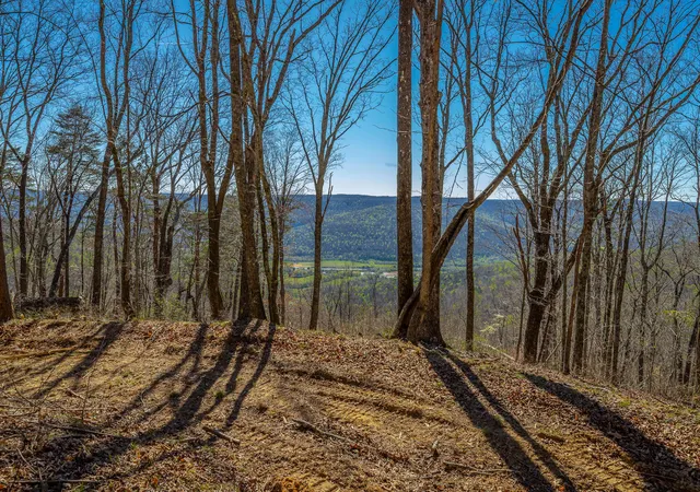 Photo 3 of Land for sale at 0 Moonlight Ln #JF439, Jasper, TN 37347 | MLS# 1531524 | Listing updated on 2026-04-16