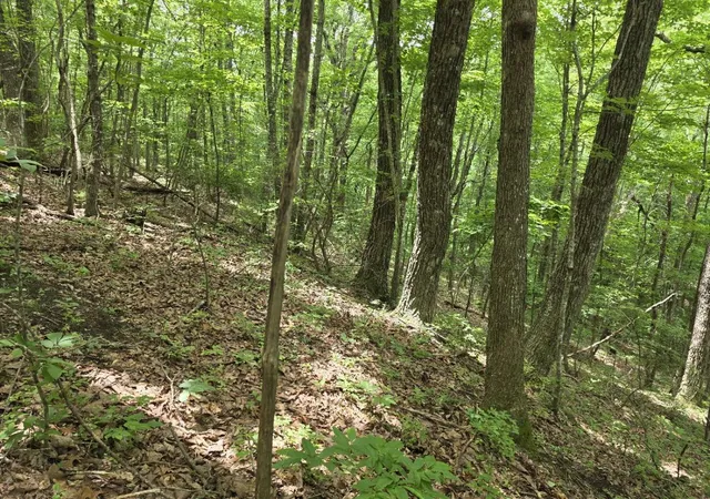 Photo 3 of Land for sale at 205 Poplar Bnd #553, Jasper, TN 37347 | MLS# 1531815 | Listing updated on 2026-07-14