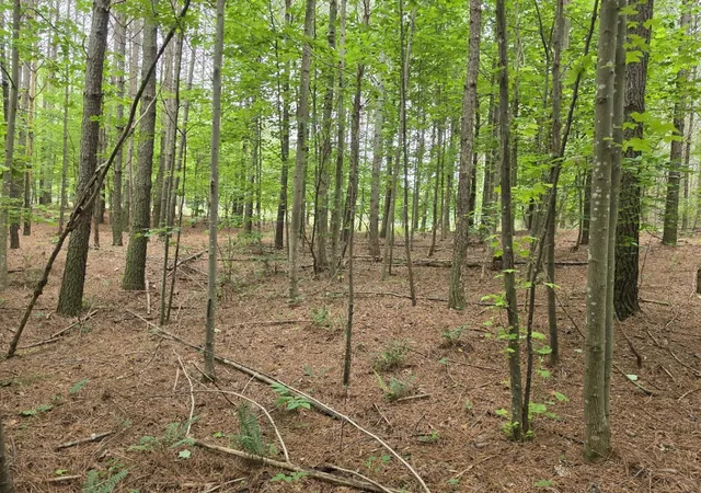Photo 3 of Land for sale at 205 Poplar Bnd #553, Jasper, TN 37347 | MLS# 1531815 | Listing updated on 2026-07-14