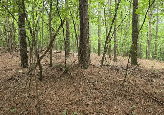 Photo 4 of Land for sale at 205 Poplar Bnd #553, Jasper, TN 37347 | MLS# 1531815 | Listing updated on 2026-07-14