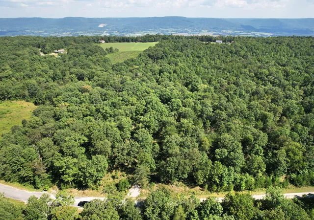 Homes for sale in Pikeville, TN | 0 Big Bluff View Rd, Pikeville, TN 37367 | MLS# 1530883
