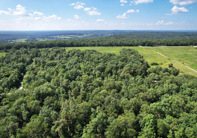 Homes for sale in Pikeville, TN | 0 Big Bluff View Rd, Pikeville, TN 37367 | MLS# 1530883