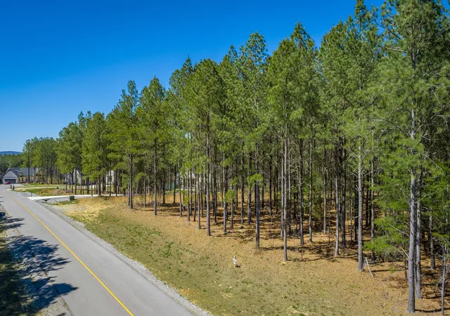 Photo 3 of Land for sale at 190 Arrowhead Ln #JF233, Jasper, TN 37347 | MLS# 1531525 | Listing updated on 2026-08-03