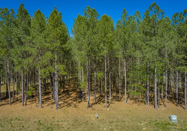 Photo 4 of Land for sale at 190 Arrowhead Ln #JF233, Jasper, TN 37347 | MLS# 1531525 | Listing updated on 2026-08-03