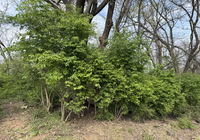2nd image of 6583 Fairview Rd, Hixson, TN 37343 | MLS# 1531121
