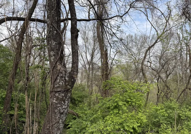 Photo 3 of Land for sale at 6583 Fairview Rd, Hixson, TN 37343 | MLS# 1531121 | Listing updated on 2026-08-06