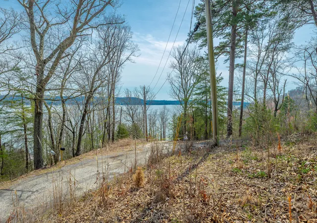 3rd image of 00 William Dr, Spring City, TN 37381 | MLS# 1531326
