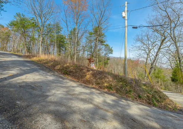 4th image of 00 William Dr, Spring City, TN 37381 | MLS# 1531326