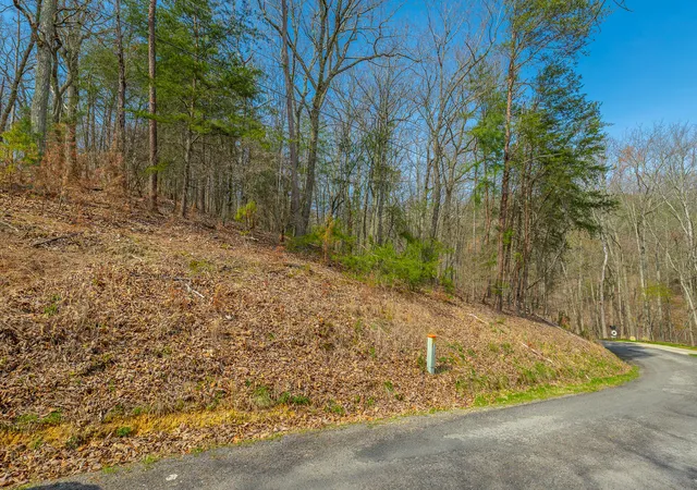 5th image of 00 William Dr, Spring City, TN 37381 | MLS# 1531326