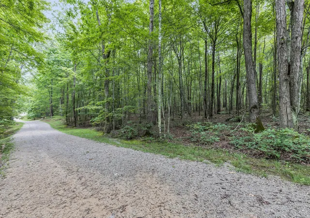 Homes for sale in Coalmont, TN | 916 N Rim Dr, Coalmont, TN 37313 | MLS# 1531654