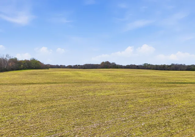 5th image of 0 Bowling Alley Rd, Manchester, TN 37355 | MLS# 1531305