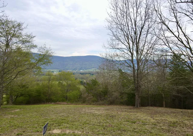 Homes for sale in Dunlap, TN | Lot 20 Skyhigh Dr, Dunlap, TN 37327 | MLS# 1531991