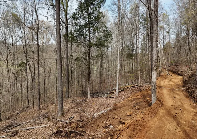 4th image of 000 Geren Subdivision Ln, Decatur, TN 37322 | MLS# 1531670