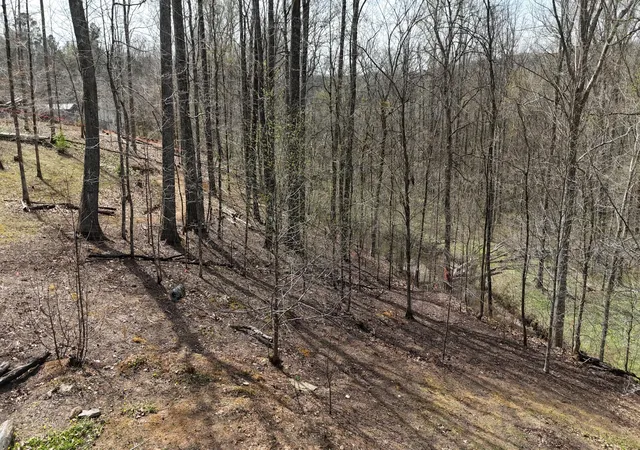 2nd image of 00 Geren Subdivision Ln, Decatur, TN 37322 | MLS# 1531668