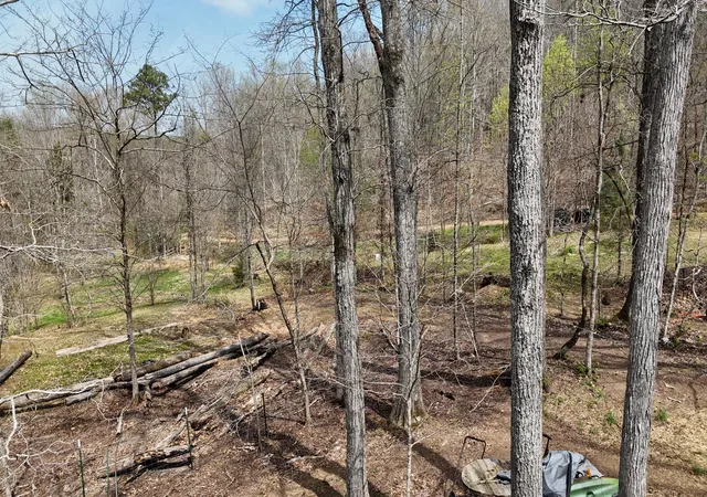 3rd image of 00 Geren Subdivision Ln, Decatur, TN 37322 | MLS# 1531668