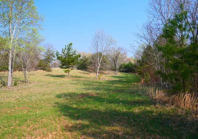 Photo 3 of Land for sale at 0 Daugherty Fry Rd #0, Sale Creek, TN 37373 | MLS# 1531587 | Listing updated on 2026-08-20