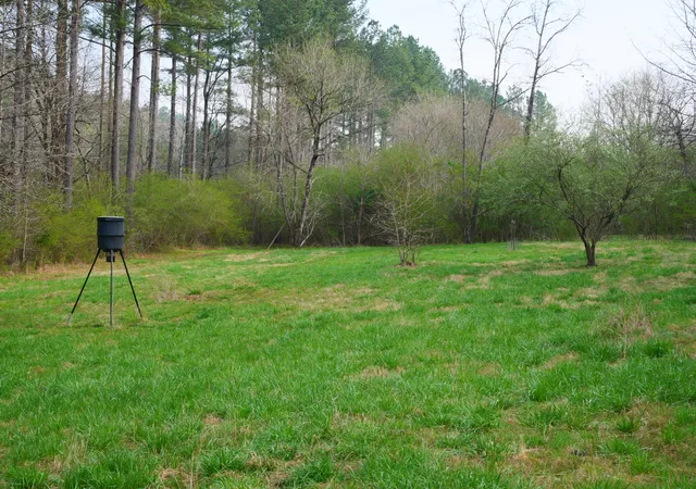 Photo 4 of Land for sale at 0 Daugherty Fry Rd #0, Sale Creek, TN 37373 | MLS# 1531587 | Listing updated on 2026-08-20
