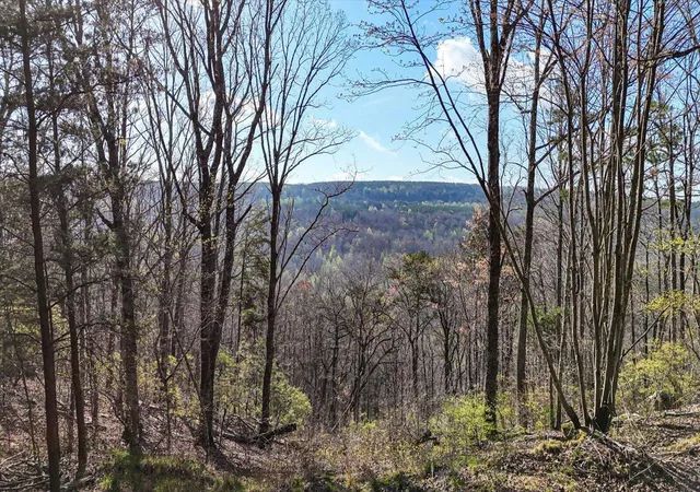 Homes for sale in Guild, TN | Lot 1350 Split Rail Wy, Guild, TN 37340 | MLS# 1531733