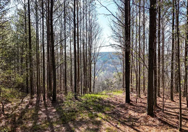 Homes for sale in Guild, TN | Lot 1350 Split Rail Wy, Guild, TN 37340 | MLS# 1531733