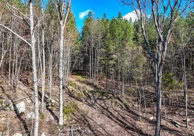3rd image of Lot 1350 Split Rail Wy, Guild, TN 37340 | MLS# 1531733